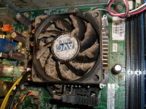 Computer CPU and heatsink clogged with dust bunnies.