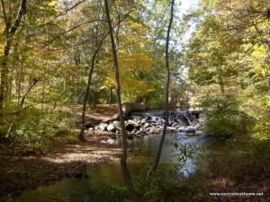 Falls on the 10 mile river near Mechanic's Pond