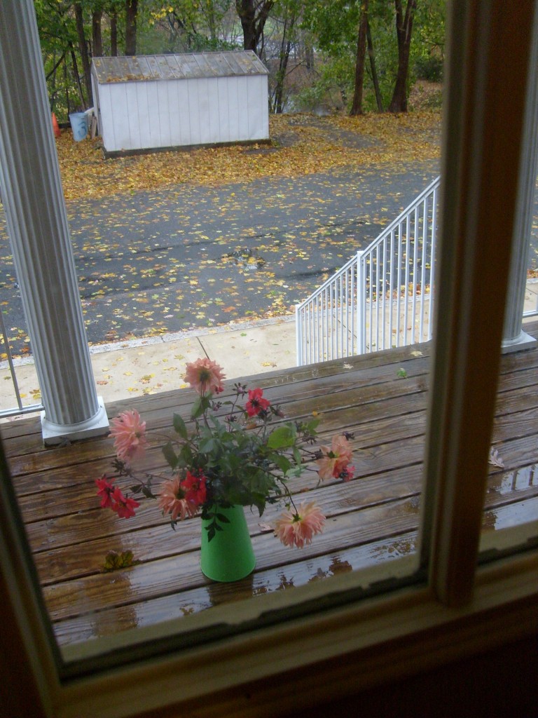Dahlias on the porch