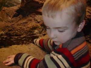 M at the tidal pool in the New England Aquarium