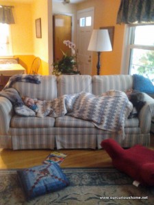 two people nappingon the couch at Mom's HOuse