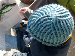 The crown of the Library Window Watchcap