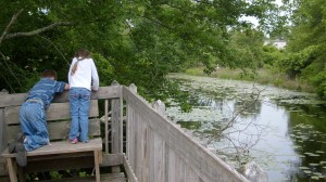 enjoying the tadpoles