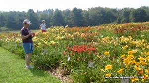 My Mom at Tranquil Lake among the day lilies