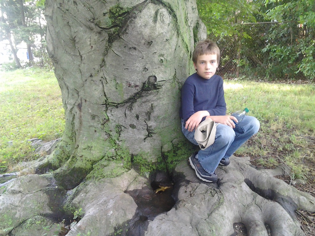 M at the ARnold ARboretum in front of a huge tree