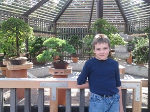 M in front of the bonsai at the Arnold Arboretum