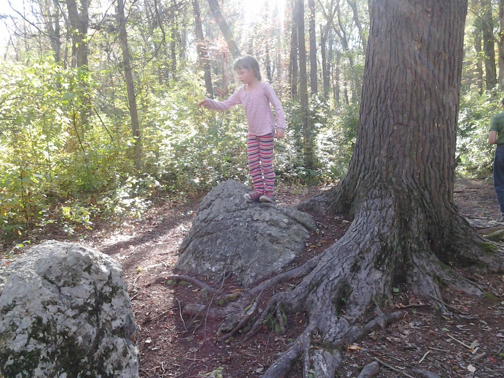 K on a smaller puddingstone rock next to a 200 year old Hemlock Tree