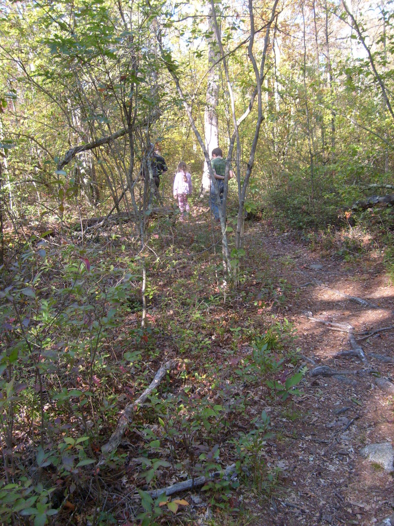 Ben, K and M on the trail ahead of us