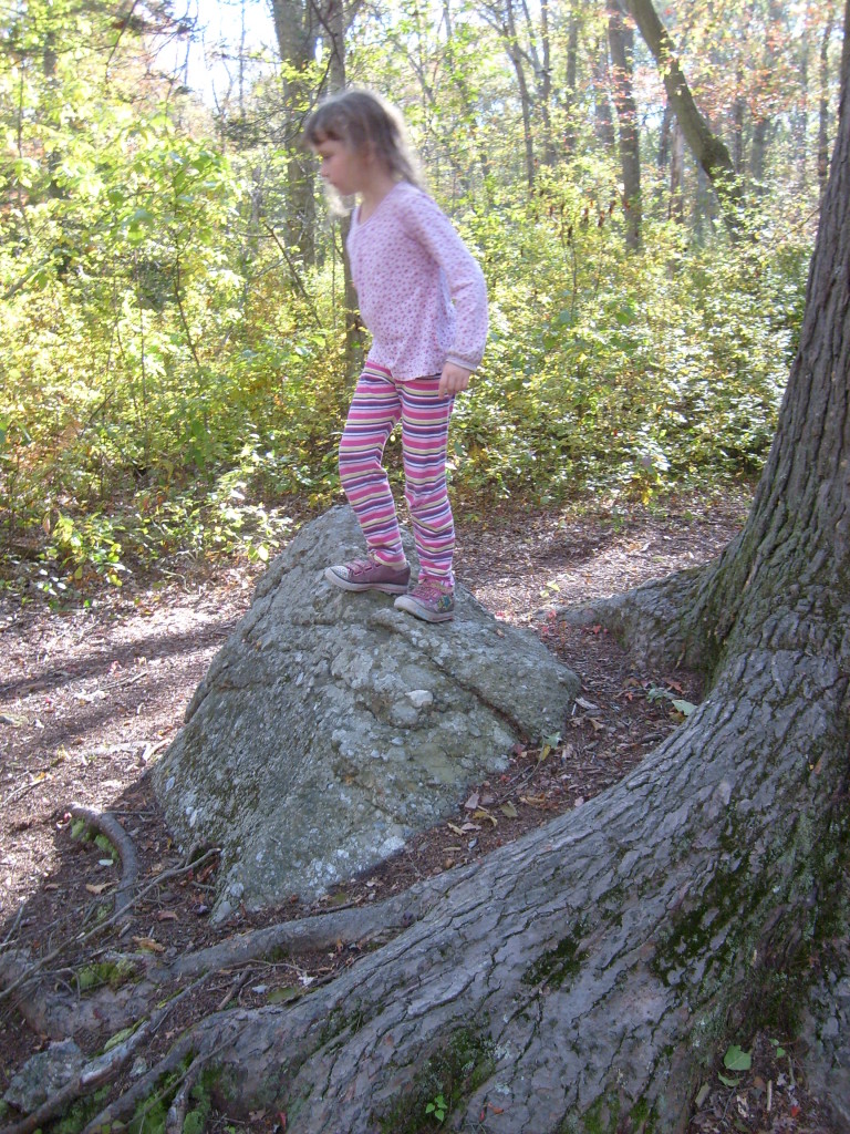 closer view of K on the rock by the hemlock tree