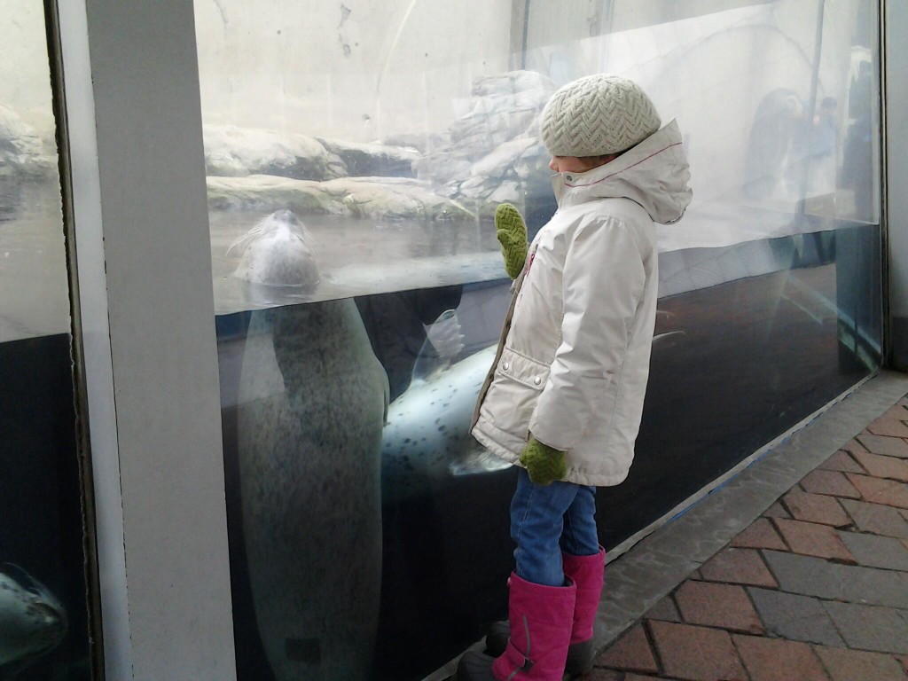 K high-5-ing the harbor seal