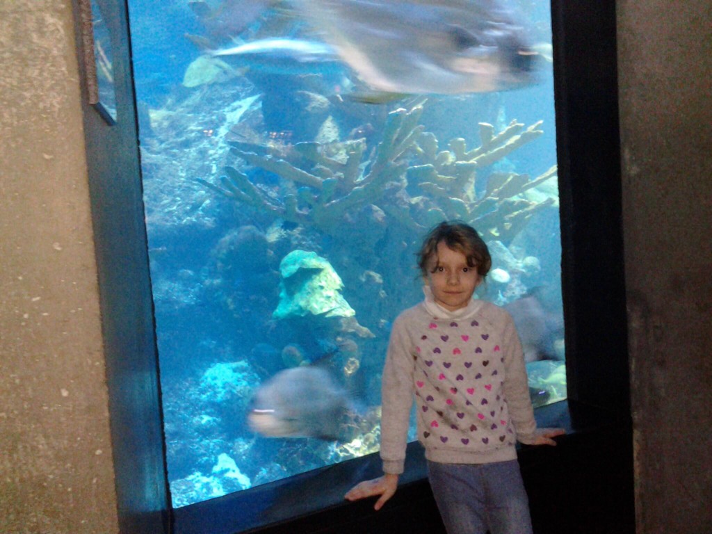 K in a window at the NEAQ