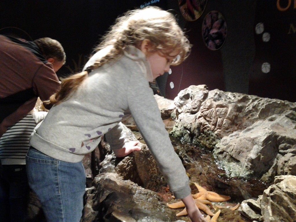 K at the tidal pool exhibit