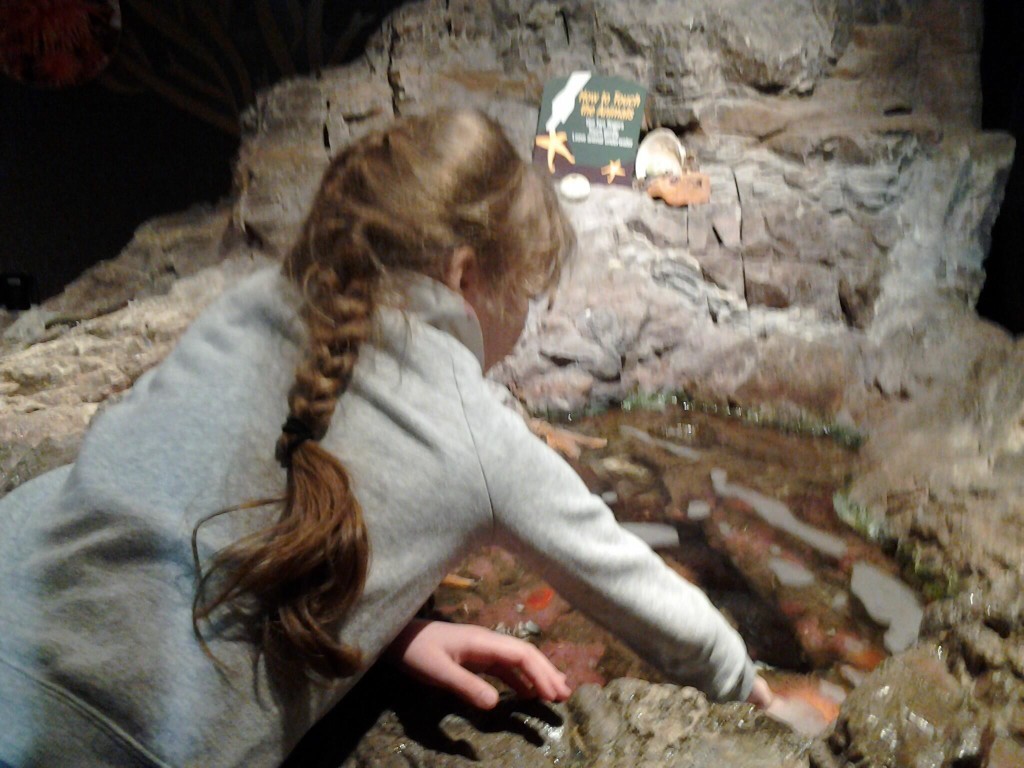 K reaching into the tidal pool