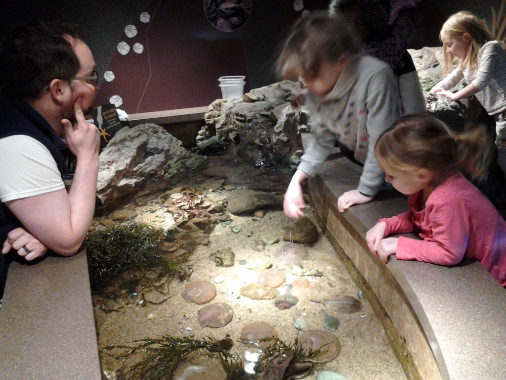 K with the docent at the tidal pool