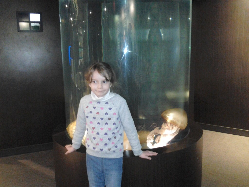 K infront of the jelly fish tank