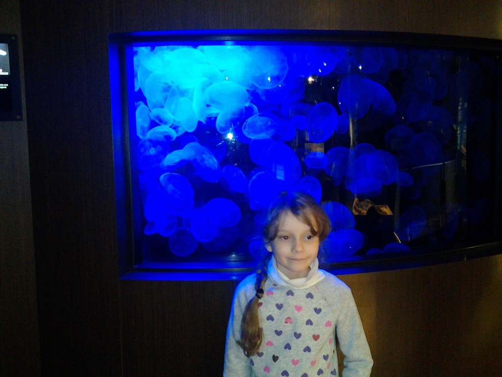 K in front of the blue jellyfish tank