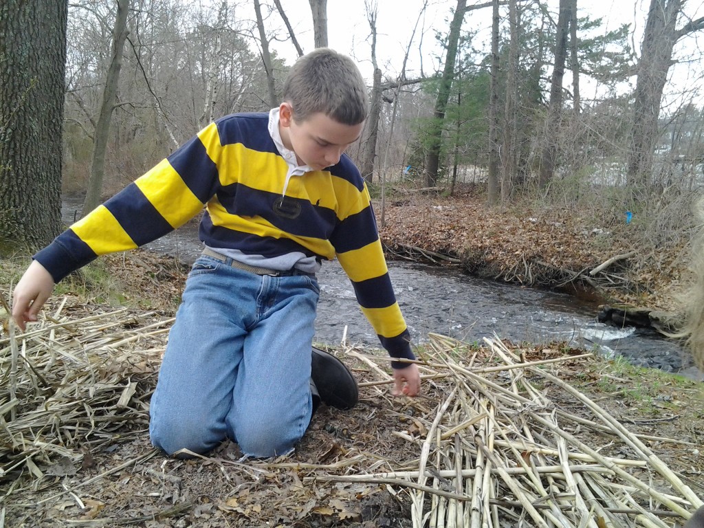 M inspects the reed raft taking shape.