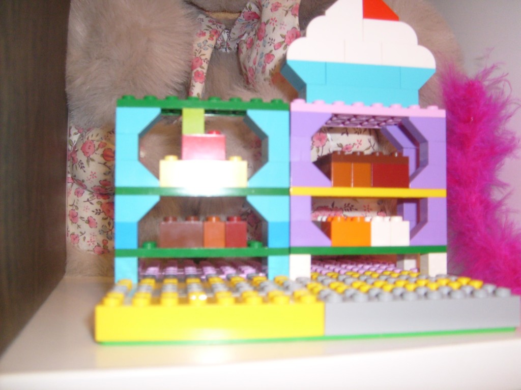 K's photo of her Bakery Shop (with Teddy in the background)