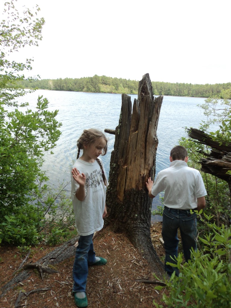 K and M playing by a treestump