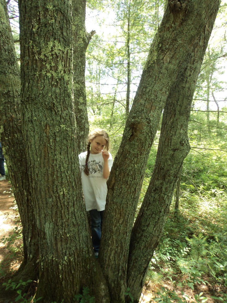 K in a group of trees