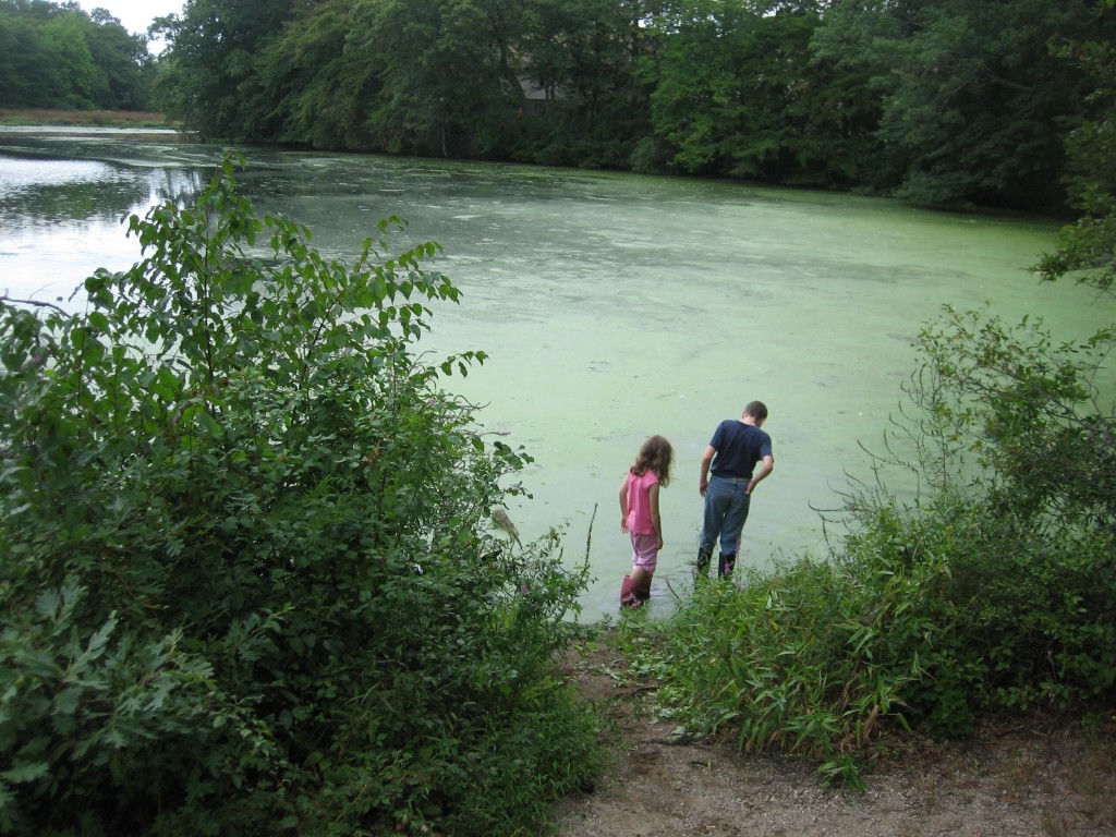 Matt and K wading in the Mechanic's Pond