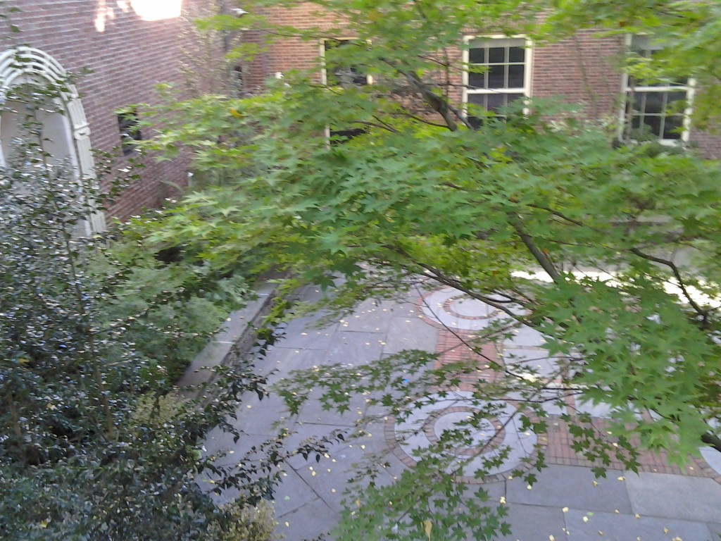 the art museum garden from the balcony