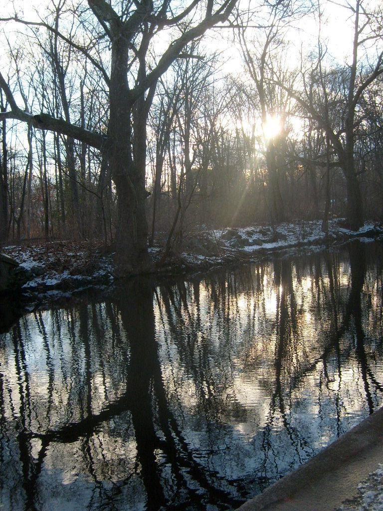 sun setting over mechanic's Pond outlet