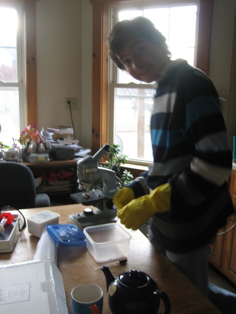 M in yellow dishgloves getting ready to look at a shelf fungus under the microscope