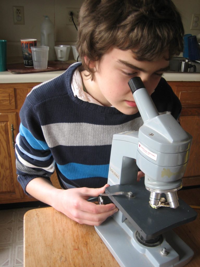 clearer picture of M looking into the microscope