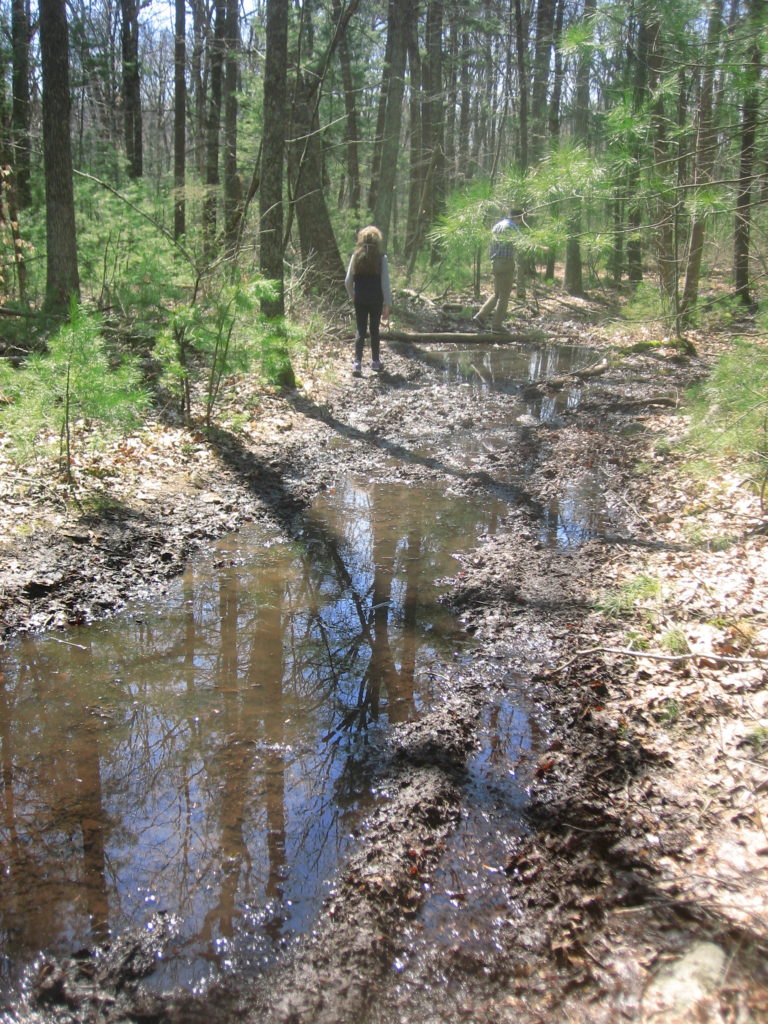 K on the other side of really muddy path